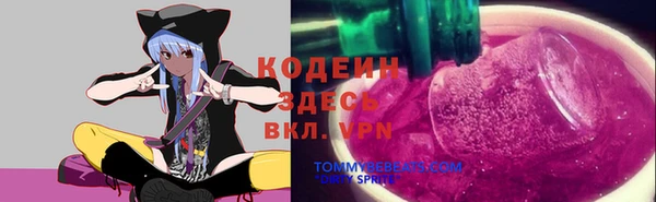 ECSTASY Алзамай