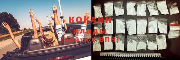 ECSTASY Алзамай
