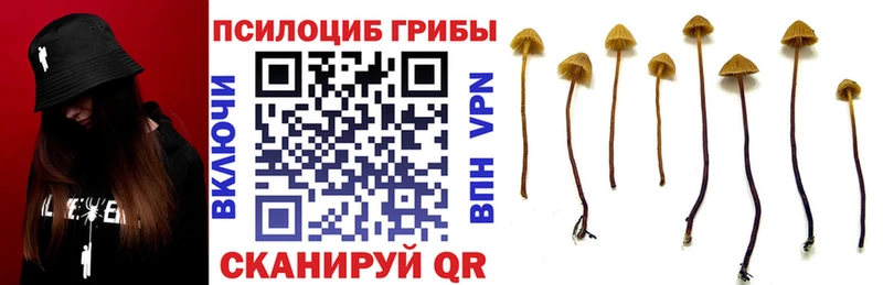 где купить наркотик  Алупка  MEGA сайт  Галлюциногенные грибы ЛСД 